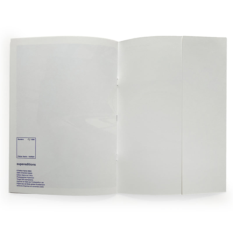 Felice Varini  - "Through the Elliptical Blue"